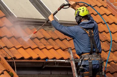Démoussage et hydrofuge de toiture à Villerest